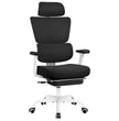 High Back Ergonomic Office Chair